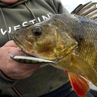 Westin Jerkbite SR Jerkbaits 7.5cm/5g